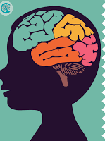 Cerebro
